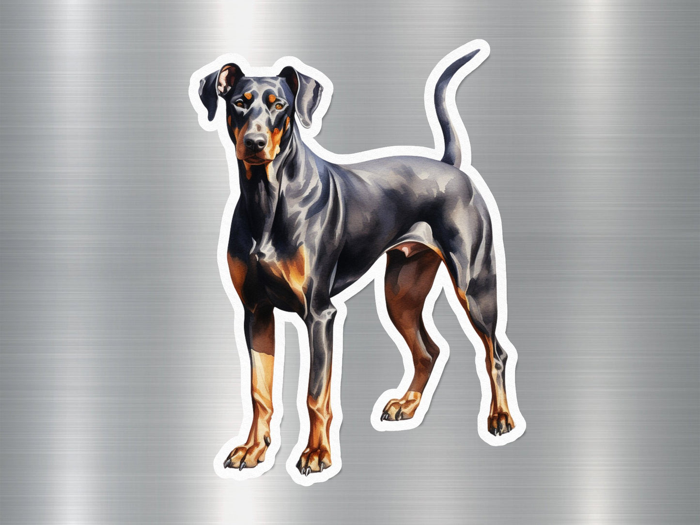 German Pinscher Dog Sticker