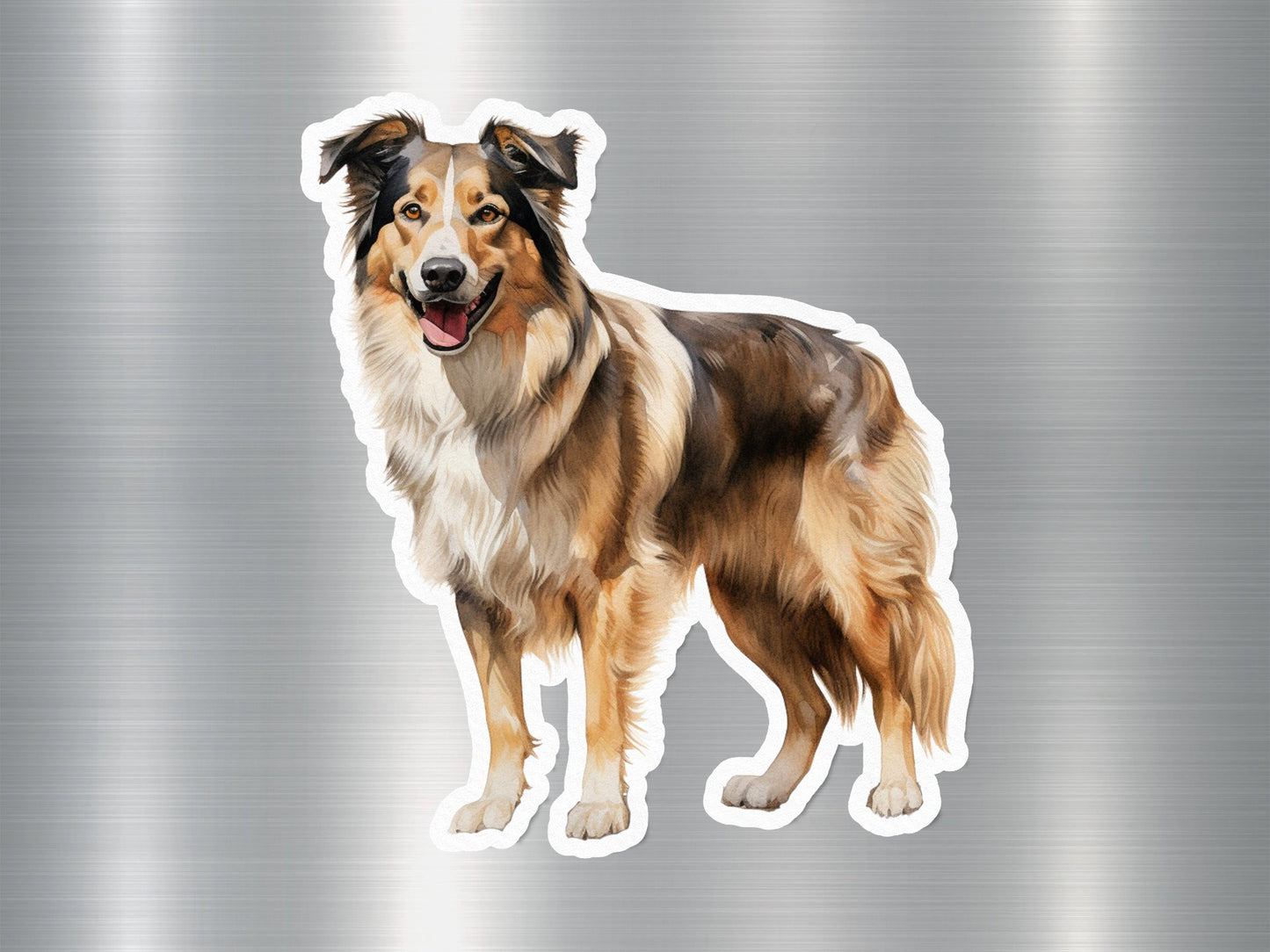 Australian Shepherd Dog Sticker