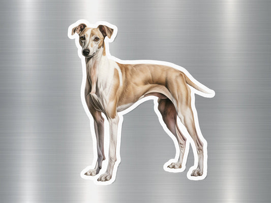 Whippet Dog Sticker