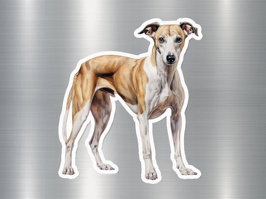 Adorable Whippet Dog Sticker