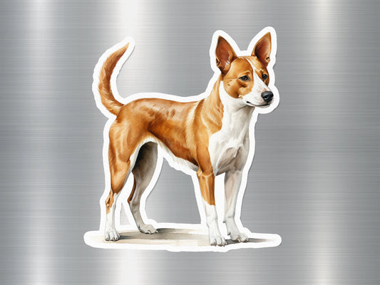 Portuguese Podengo Dog Sticker