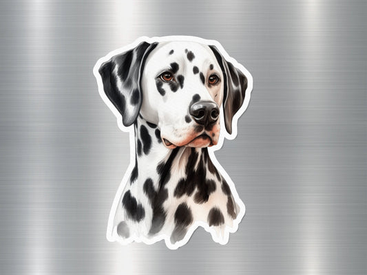 Dalmatian Dog Sticker