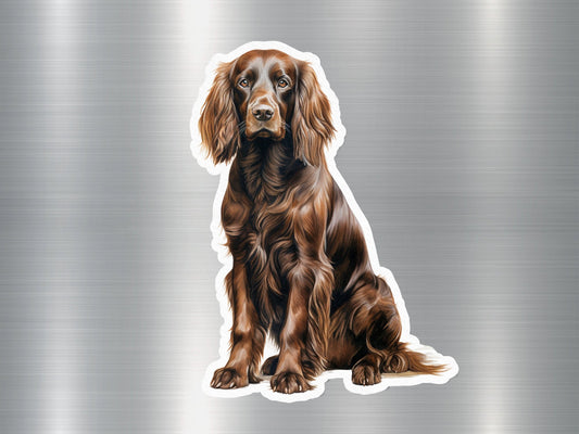 Sitting Boykin Spaniel Dog Sticker