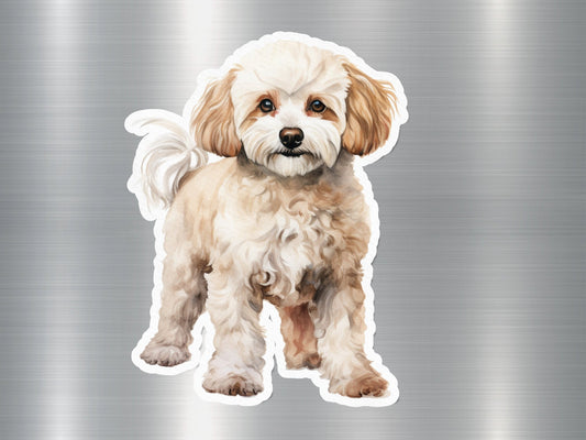 Happy Maltipoo Dog Sticker