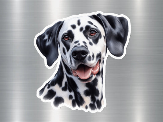 Attractive Dalmatian Dog Sticker