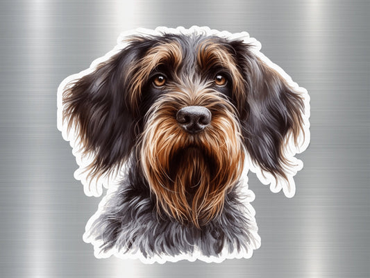 Wirehaired Korthals Griffon Dog Sticker