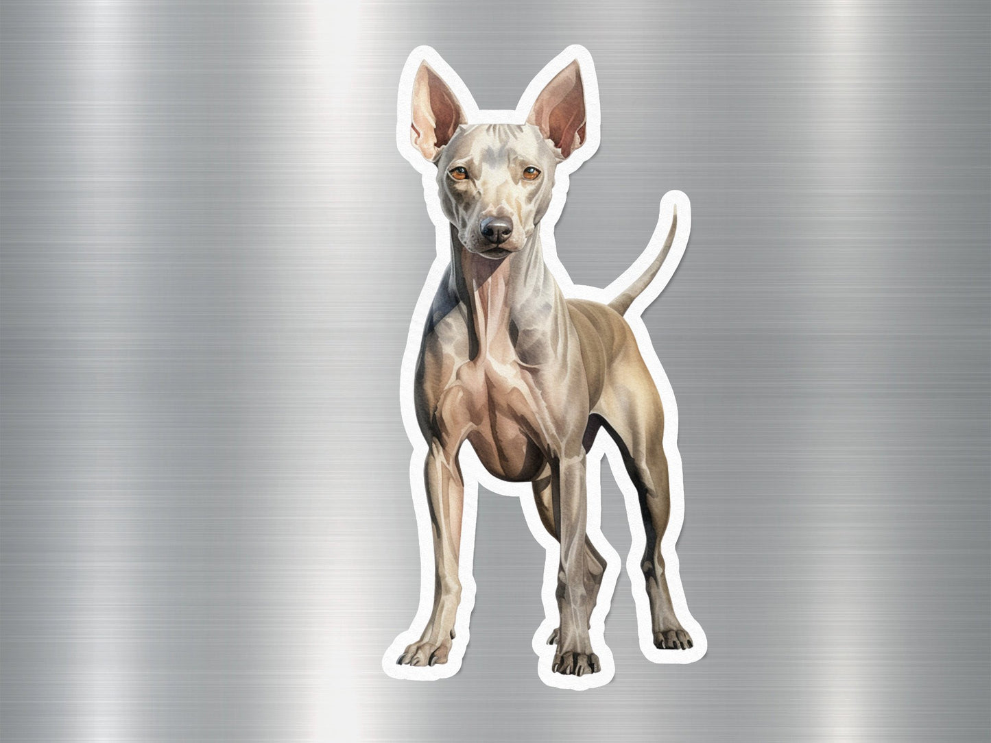 American Hairless Terrier Dog Sticker