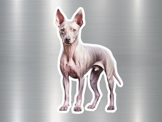 American Hairless Terrier Dog Sticker