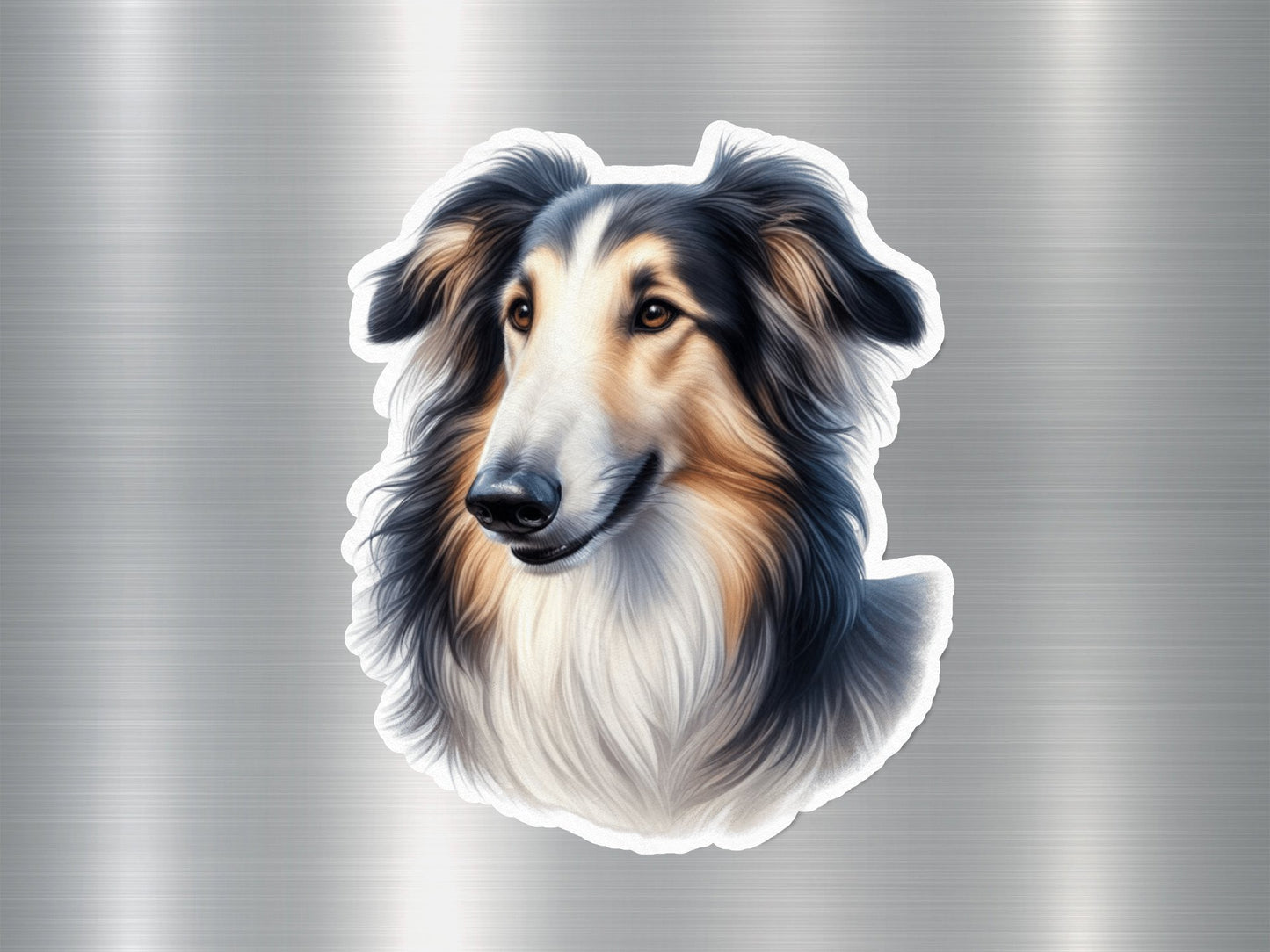 Adorable Scotch Collie Dog Sticker