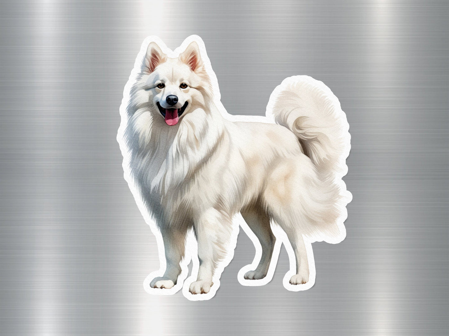 American Eskimo Dog Sticker