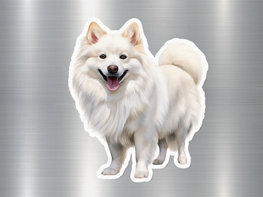 Cute American Eskimo Dog Sticker