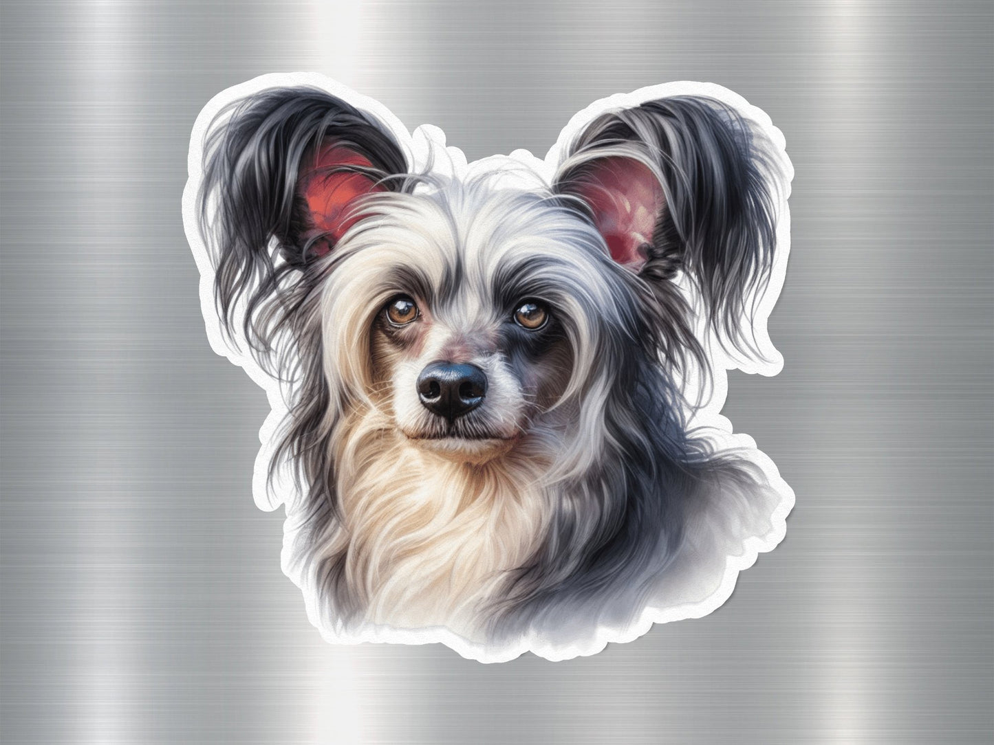 Wholesale Lovable Chinese Crested Dog Sticker