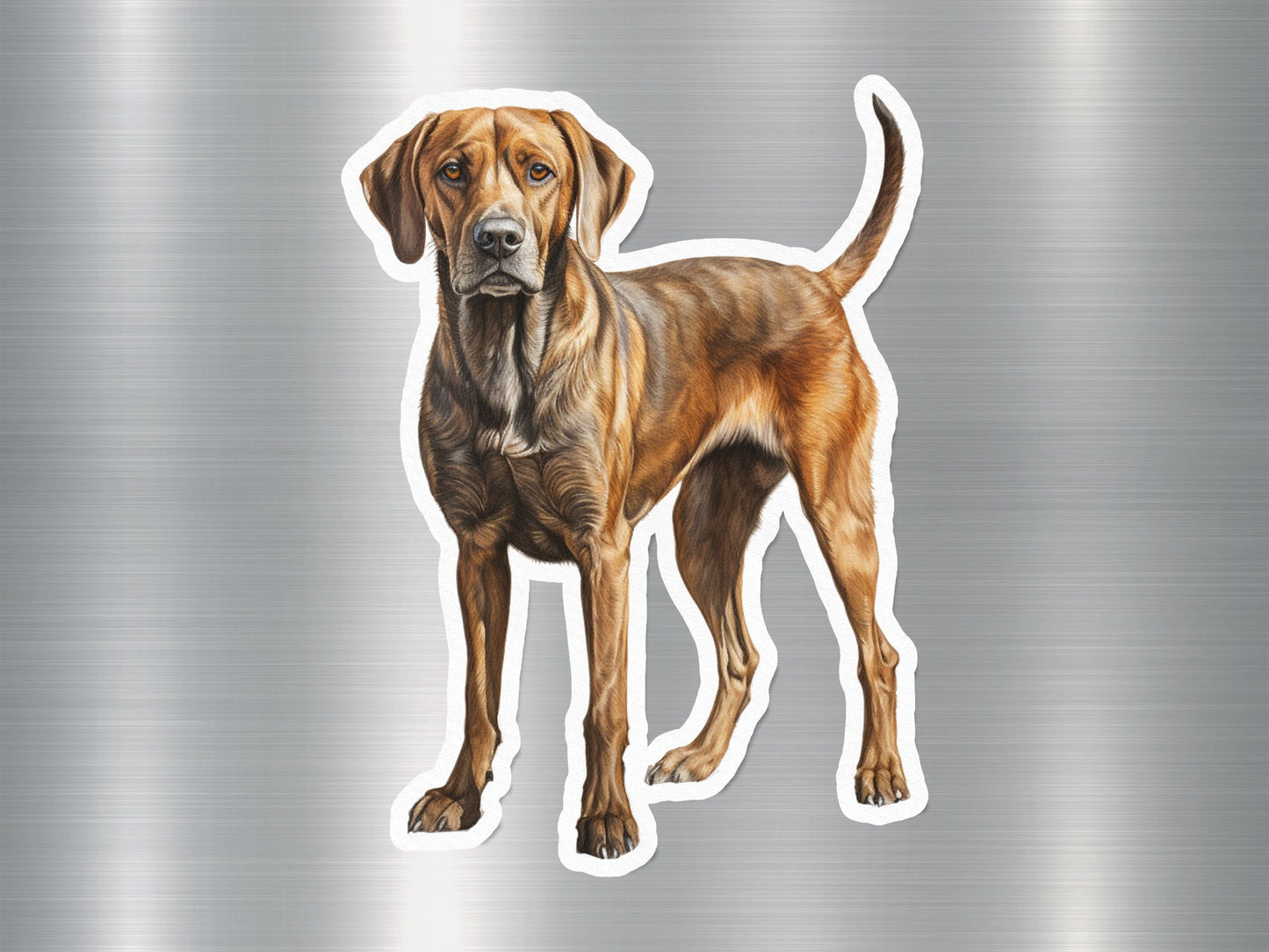 Plott Hound Dog Sticker