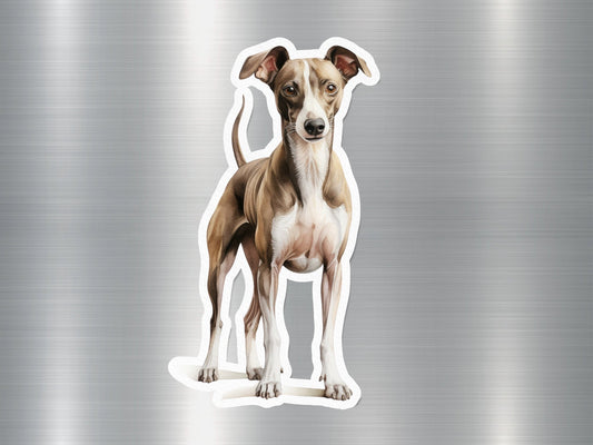 Whippet Wonder Dog Sticker