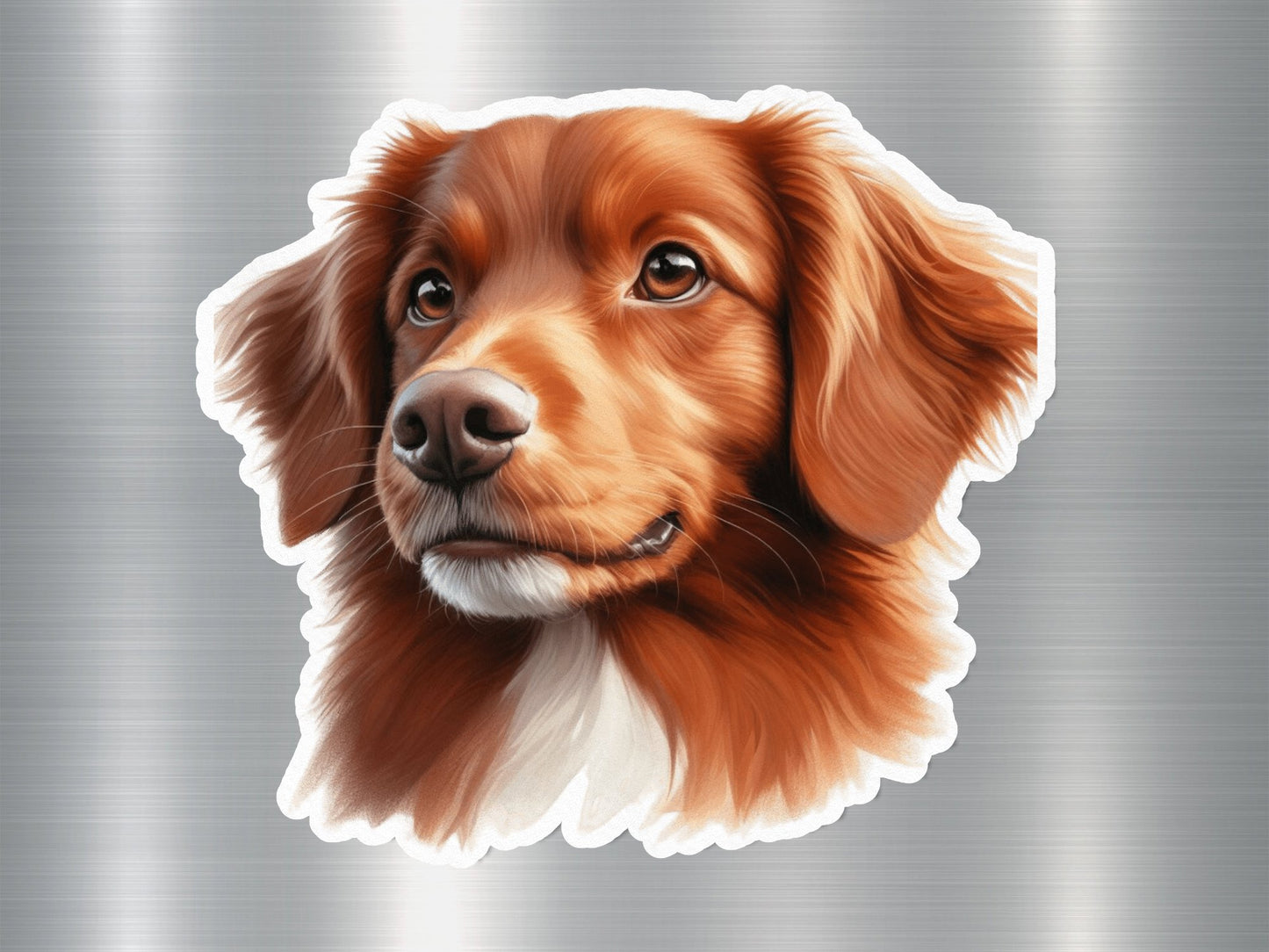 Nova Scotia Duck Tolling Retriever Dog Sticker