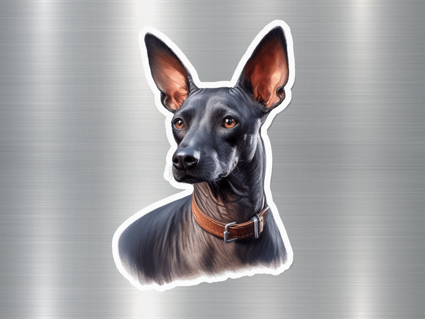 Hairless Wonder Dog Sticker