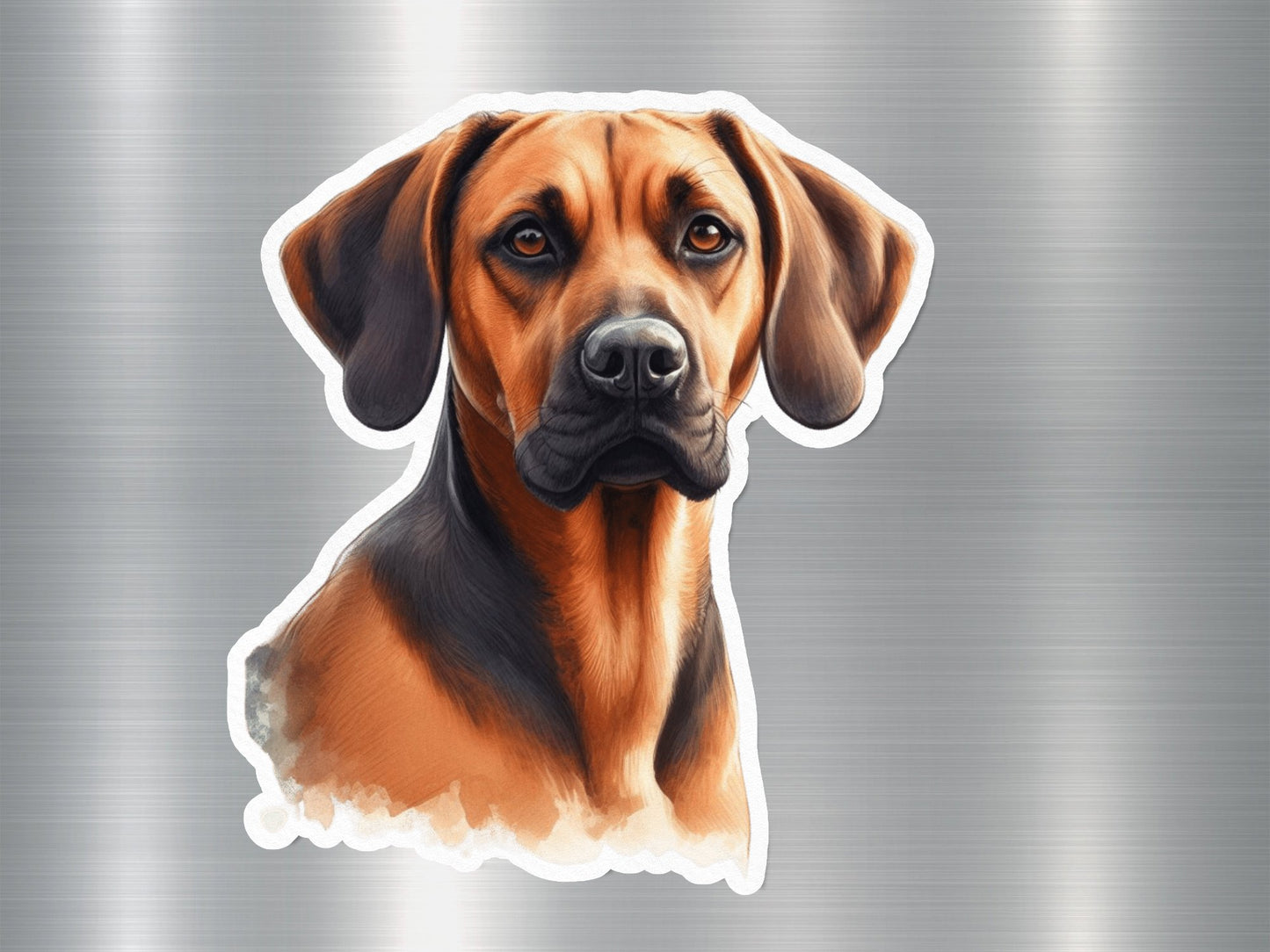 Rhodesian Ridgeback Dog Sticker