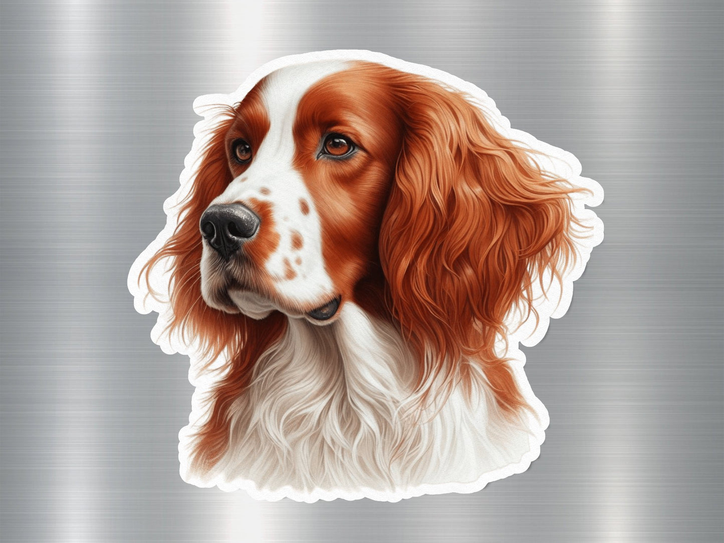 Welsh Springer Cutie Dog Sticker