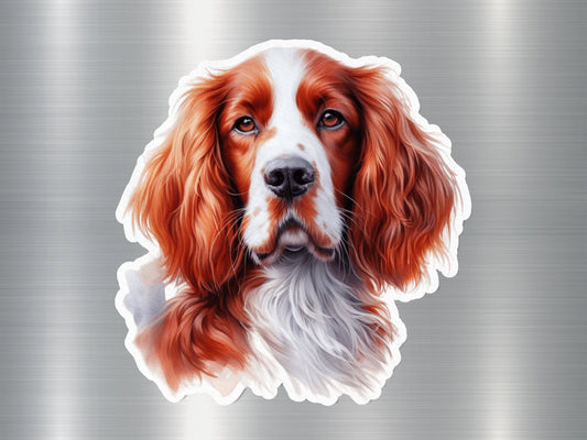 Welsh Springer Spaniel Dog Sticker