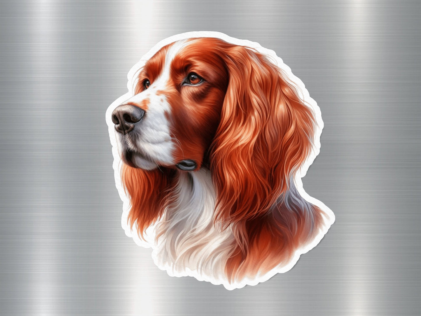 Welsh Springer Spaniel Magnet Dog Sticker