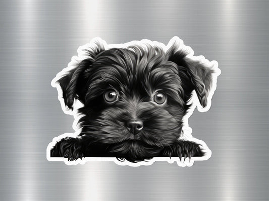 Yorkipoo Dog Sticker