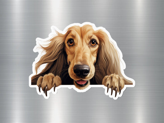 Royal Ruffian Dog Sticker