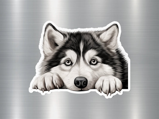 Husky Eyes Dog Sticker