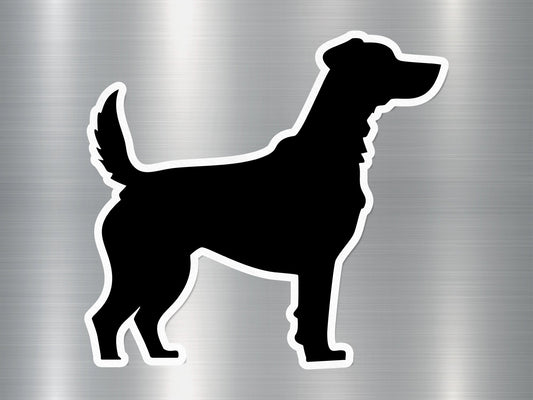 Wholesale Hairless Wonder Dog Sticker