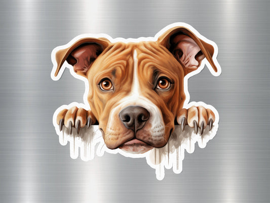 Wholesale Pit Bull Charm Dog Sticker