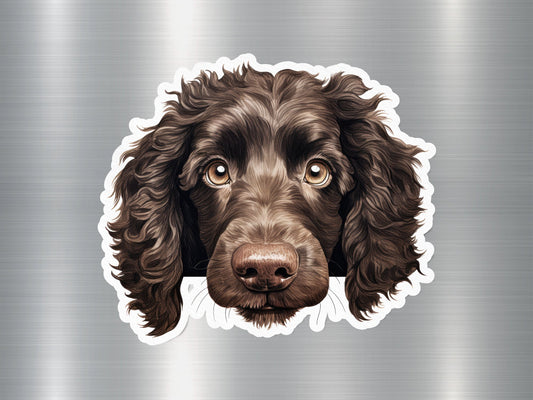 Wholesale American Water Spaniel Charm Dog Sticker