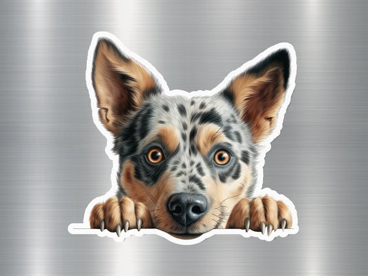 Wholesale Australian Shepherd Charm Dog Sticker