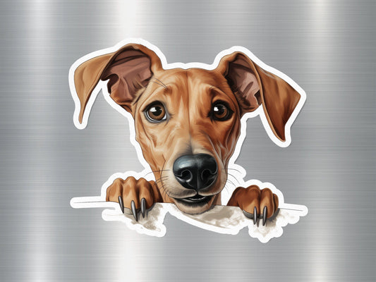 Whippet Wonder Dog Sticker