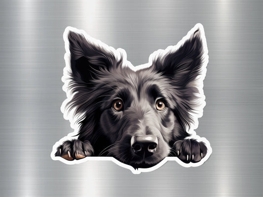 Belgian Shepherd Dog Sticker