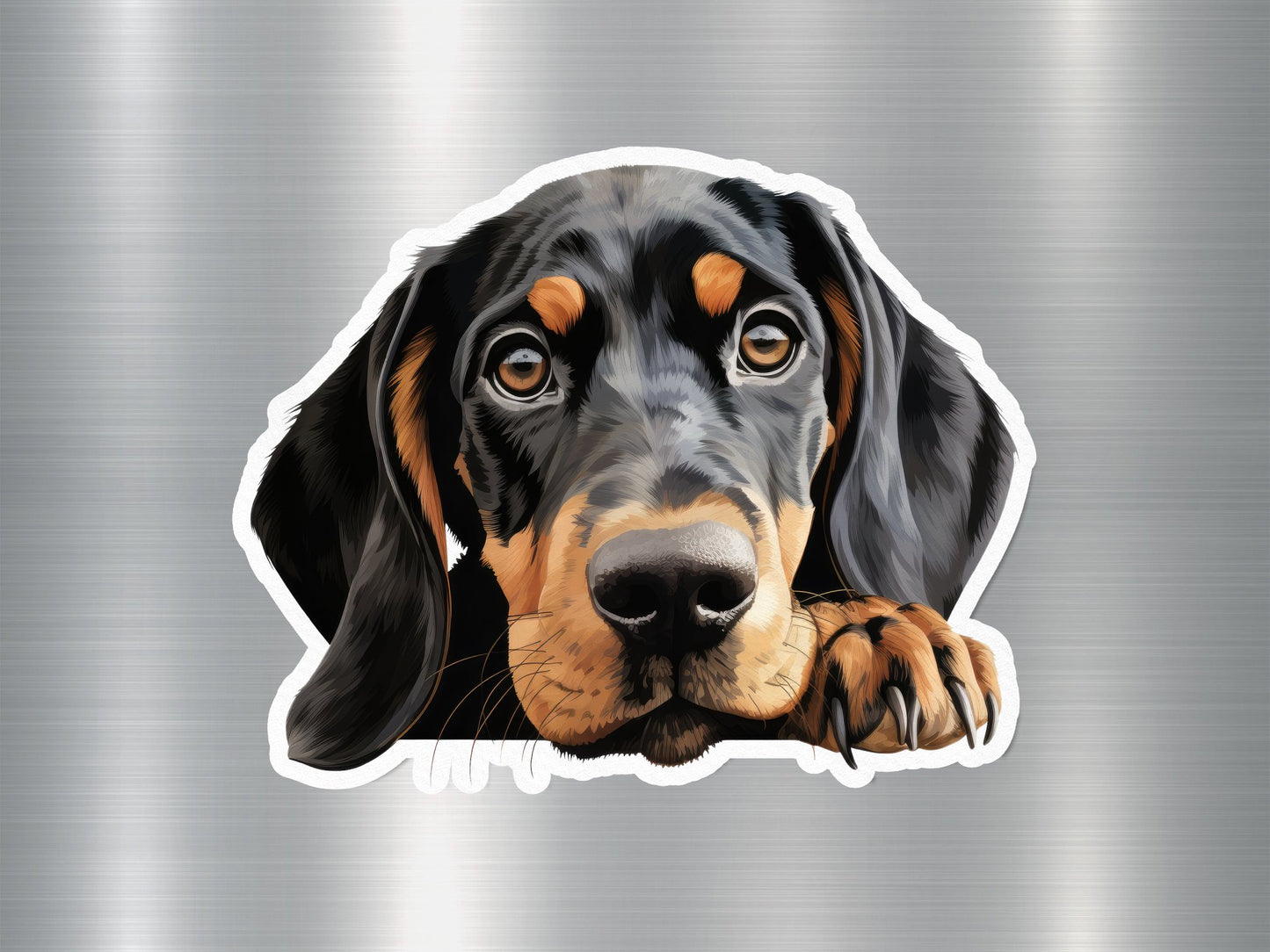 Coonhound Cutie Dog Sticker