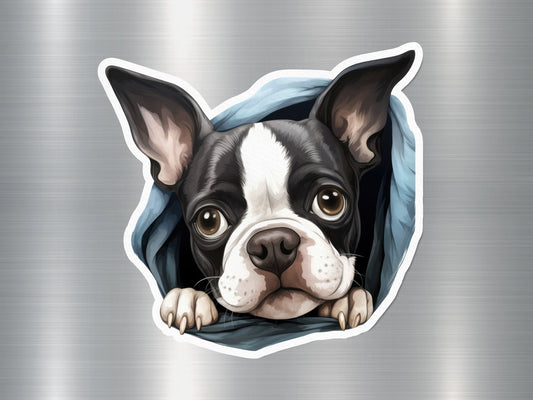 Boston Buddy Dog Sticker