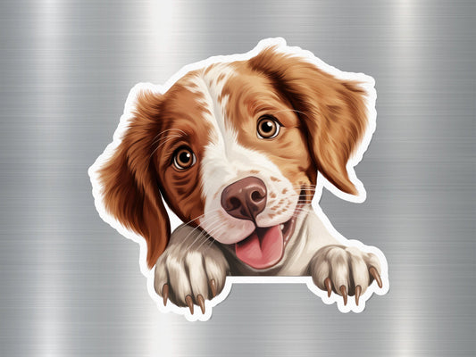 Brittany Spaniel Dog Sticker