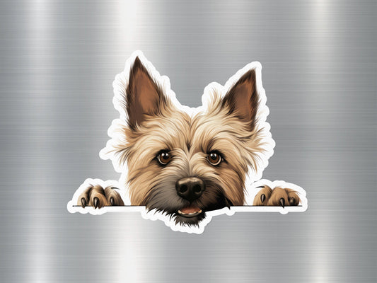 Cairn Curiosity Dog Sticker