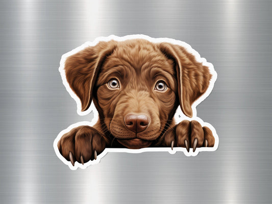 Chesapeake Charm Dog Sticker