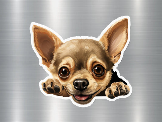 Chihuahua Curiosity Dog Sticker