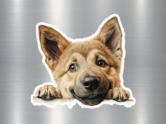 Alaskan Malamute Dog Sticker