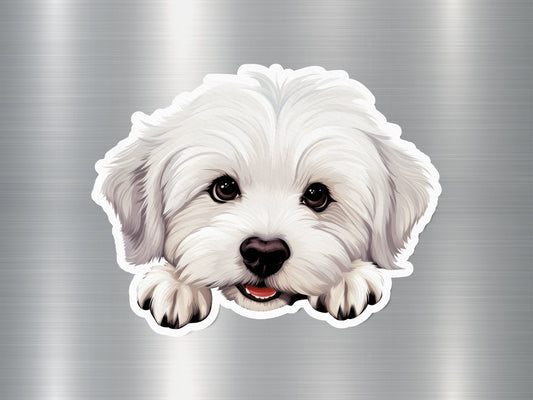 Fluffy Face Dog Sticker