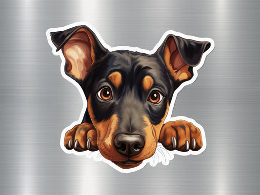 Miniature Pinscher Charm Dog Sticker