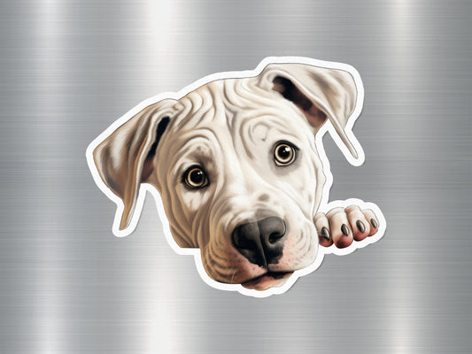 American Bulldog Charm Dog Sticker