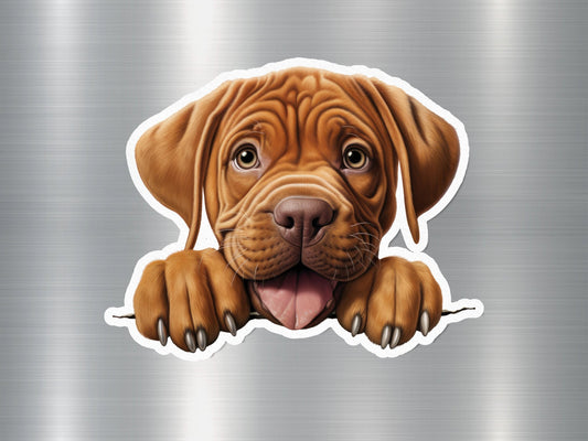 Dogue de Bordeaux Charm Dog Sticker