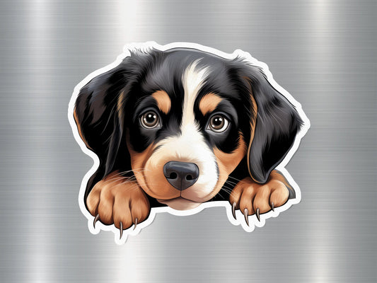 Bernese Mountain Dog Puppy Sticker