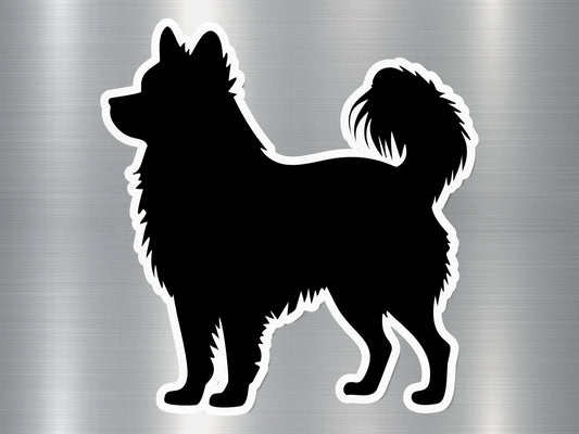 Pomeranian Dog Sticker