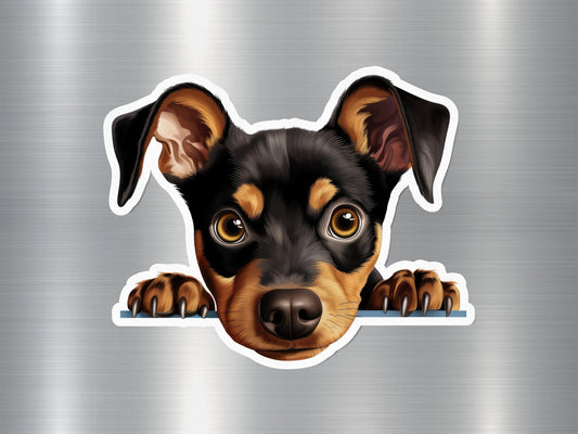 Miniature Pinscher Dog Sticker