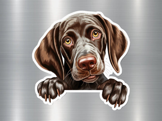 German Shorthaired Pointer Dog Sticker