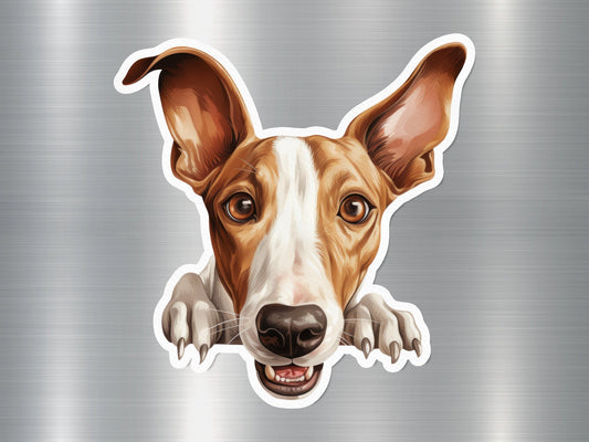 Jack Russell Terrier Dog Sticker