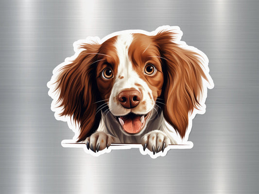 Irish Red and White Setter Charm Dog Sticker